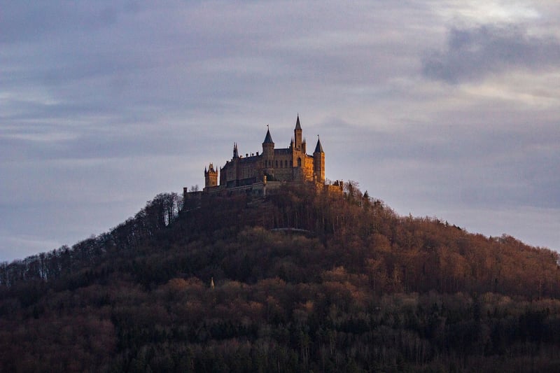 Black Forest